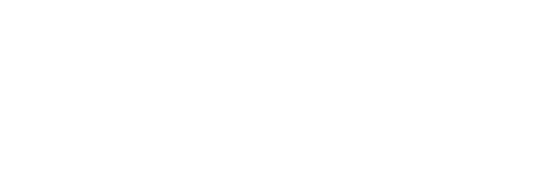 Stain Stop & Clean