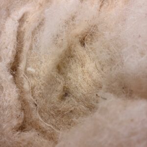 Wool Felt [FR]