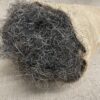 Chinese Horsehair - Image 2