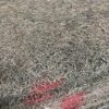 Rubberised Hair [d45] [red] - Image 3