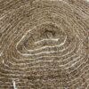 Ginger Fibre on Polypropylene - Image 2